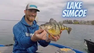 Smashing Lake Simcoe Jumbos W/ Rhythm Waves