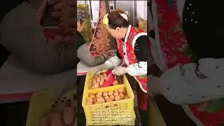 Efficient egg handling: modern processing plant