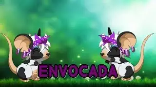 Transformice  - Env0cada [10 FIRST SALA NORMAL]