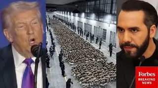 'So Large You Can't See From One Side To The Other': Trump Praises Bukele Over El Salvador's Prisons
