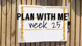 Plan with me June, week 25, sunflower and cat theme // Study To Succed