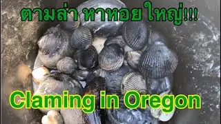 Claming in Oregon, Netarts Bay