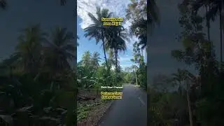 Suasana asri ‼️ desa kajai pariaman timur kota pariaman sumbar #shorts