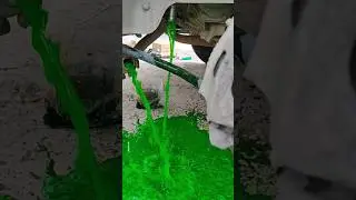 Coolant change in Alto l #viral #diy #ytshorts #alto #coolant #carservice #alto800  l