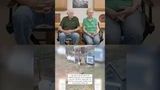 Реакция доктора Пола: собака попалась в живую ловушку?! 🐶🪤#drpol