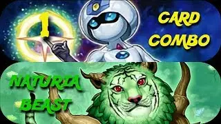 1 Card Combo [NATURIA BEAST]