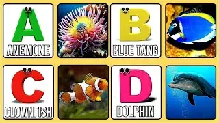 ABC Song | Sea Animals ABC Song | Phonics for Kids, Learn ABC, Baby Alphabet Letters