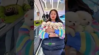 Everyone took her puppies&hellip; but what she did next 😢❤️🐶