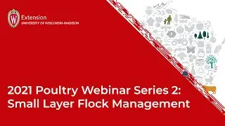 2021 Poultry Webinar Series 2:Small Layer Flock Management
