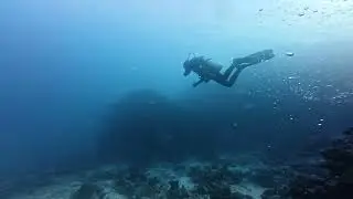 Night Diving Certification | PADI Standards (Part 1): Gear & Buoyancy Check 🌊🔦 4K