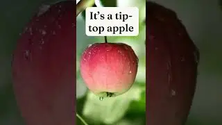 Apple Riddle