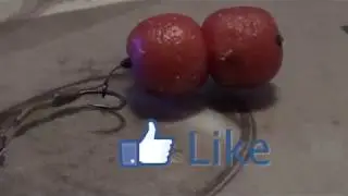 Montaje Combi Carpfishing