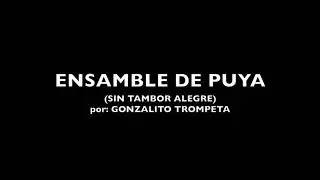 ensamble la puya (sin tambor alegre)