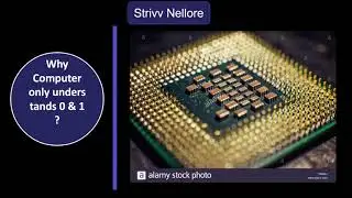 What Is Machine Language ? | Basics Of Programming | STRIVV NELLORE