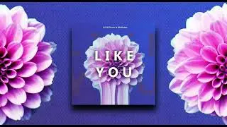 Like You - Mindatter ft DJ NC