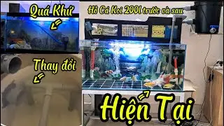 Hồ Cá Koi 200l Đẹp - Muốn Nuôi Cá Koi + Chép Sư Tử + Ranchu Khỏe Mạnh Cần Chú Ý Những Điều Này.
