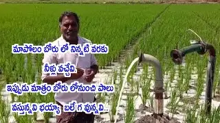 బోరు లో నుంచి నిన్నటి వరకు నీళ్లు నేటి నుంచి పాలు | Q9tv live