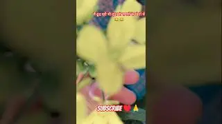 #centralcee😂मैं ढूंढ रही था तुझको सपनों#movie#song #hindi#love#trending#viral#lovemusic#short feed