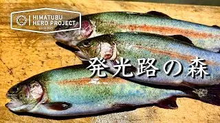 【エリアトラウト】発光路の森！管釣りの奥深さを知った日