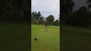 Pulai Spring, Johor