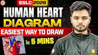 Human Heart Diagram in 5 Mins! | Easiest Way to Draw | SSLC 2026