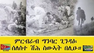 EMNA ምርብራብ ግንባር ጊንዳዕ፡ ሰለስተ ሽሕ ሰማእታት በሊዑ'ዩ።ERITREAN HISTORY AND CULTURE