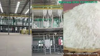 Turnkey 200T Rice Mill Plant for Sale &ndash; Complete Rice Milling Solutions by Co-Grain