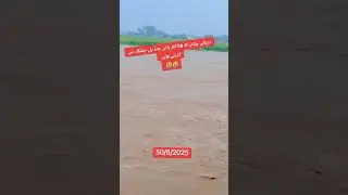 jhang sader kia hall