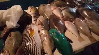Nett Point - Pohnpei 2018 (Please watch in HD)