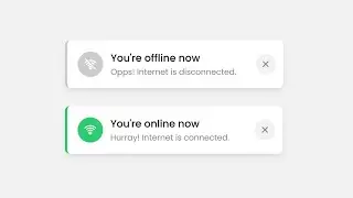 How to Check Network Status using CSS & JavaScript
