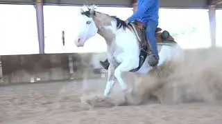Morethanfiftycents: Bridleless