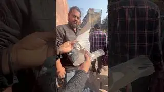 jama masjid kabootar market delhi 2024 // #jamamasjid #kabootar #pigeon #shortfeed #shorts #short