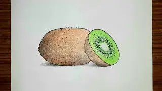 How to draw Kiwi fruit step by step | Kiwi fruit drawing easy | National fruit of New Zealand |