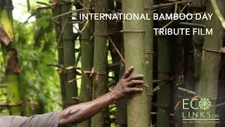World Bamboo Day 2020 Tribute Film