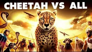 Cheetah VS 10 Opponents - Epic Animal Battle Royal!