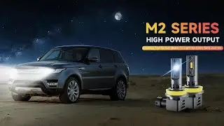 Rimthin M2 Series LED Bulbs | High-Power