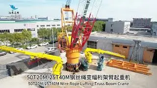 50T20M/25T40M Wire Rope Luffing Boom Crane