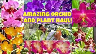 What an awesome haul! I got some real exclusive orchids and Alocasias at the fair. So exciting!