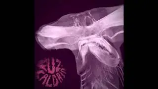 Fuz Caldrin - Lost our way