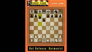 RAT DEFENSE | harmonist