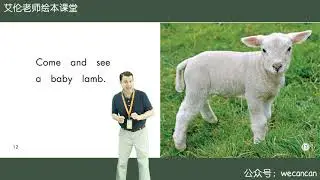 4. The Baby Animals