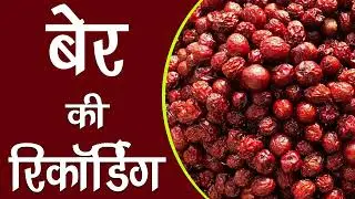 [ हिंदी ] मीठे बेर बेचने की रिकॉर्डिंग II देशी बेर रिकॉर्डिंग II बेर का Audio Prachar II 2023