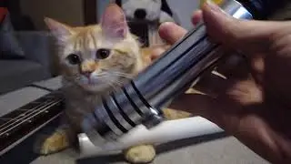 Clawless Sabertrio Reaver? What does it look like? How does it spin?