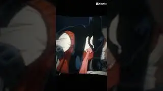 Gang orca