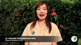 Vet 4: สพ.ญ. เรวดี เติมวิริยะกุล (Dr. May)