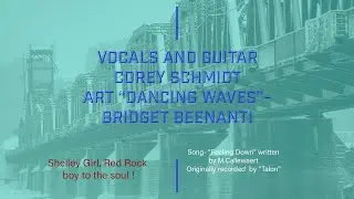 &lsquo;Feeling Down&rsquo;  collaboration of Corey Schmidt and Bridget Beenanti