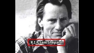 Sam Shepard, Pulitzer Prize winner, dies at 73