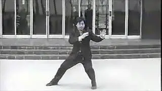 Chen Xiao Xing - Tai Chi style Chen Xinjia Yilu 1986 [陈氏太极拳新架 Taijiquan style Chen]