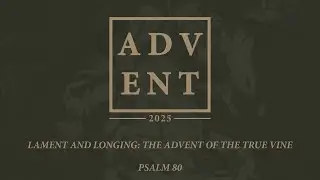 Advent | Lament and Longing: The Advent of the True Vine | Chris Stewart |