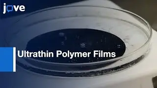 Fabrication Of Large-Area Free-Standing Ultrathin Polymer Films l Protocol Preview